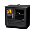 Plamen 910 Glas